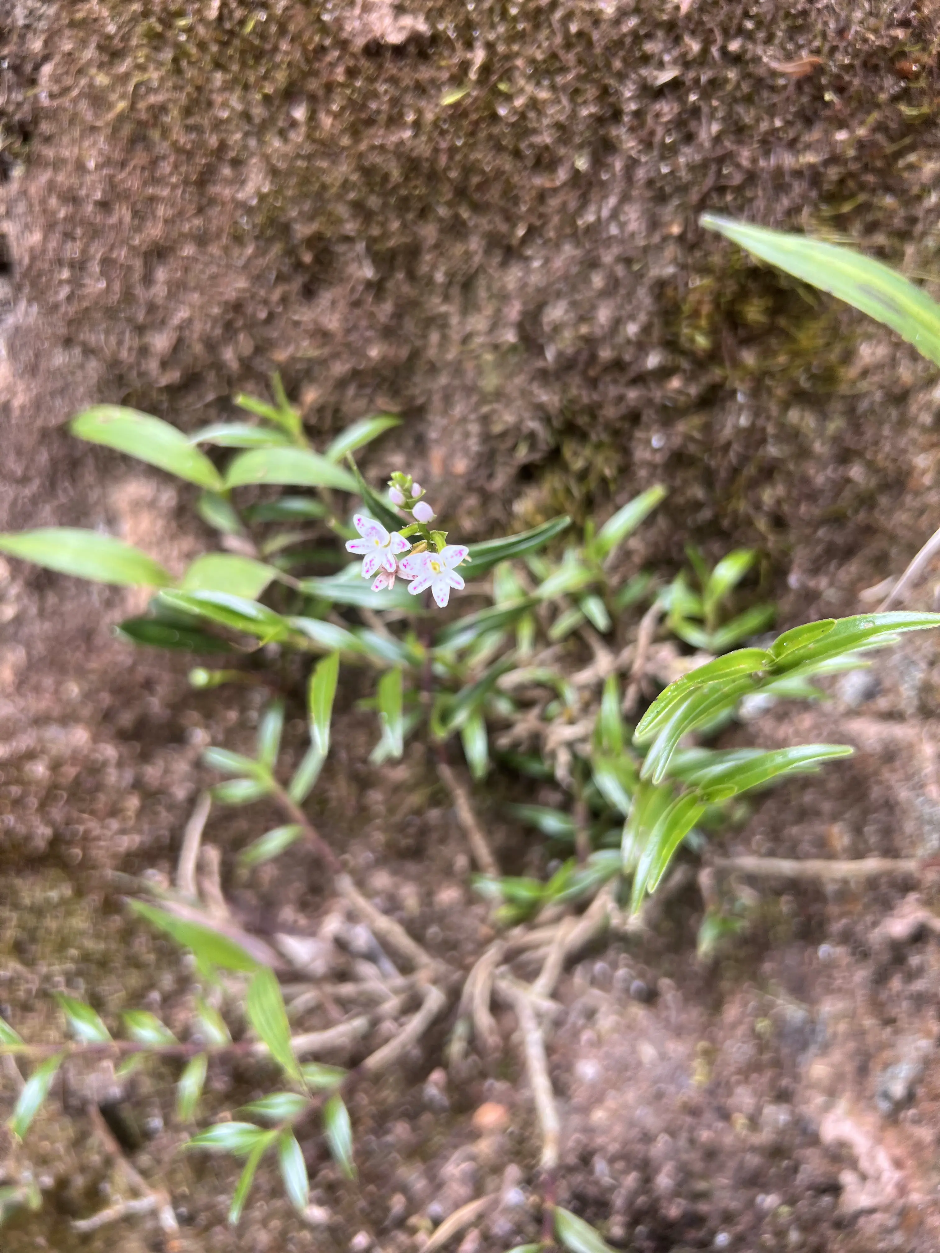 Your first blog post guide - When you don't know what to talk about